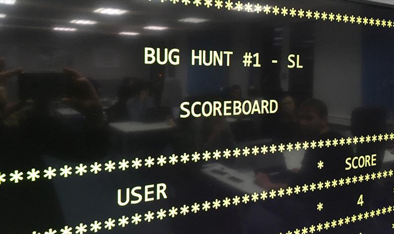 Bug hunting and the search for perfection